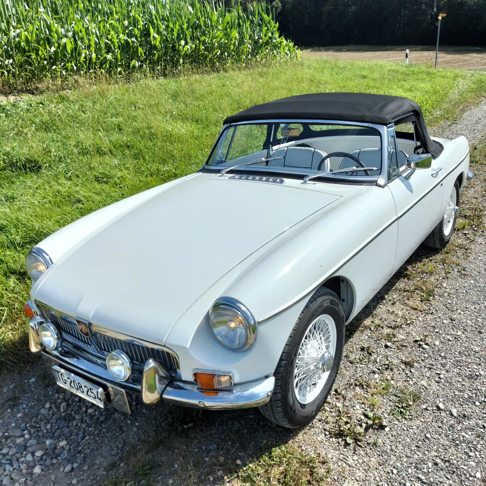 MG Mgb 1967 occasion Kefikon — 2