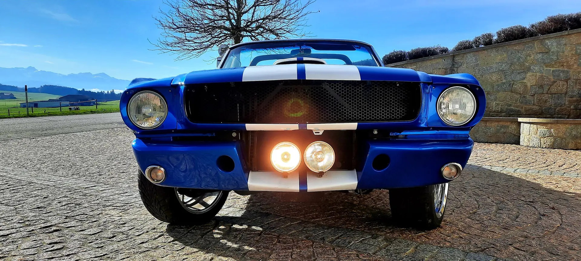 Ford Mustang 1966 occasion Dompierre — 2