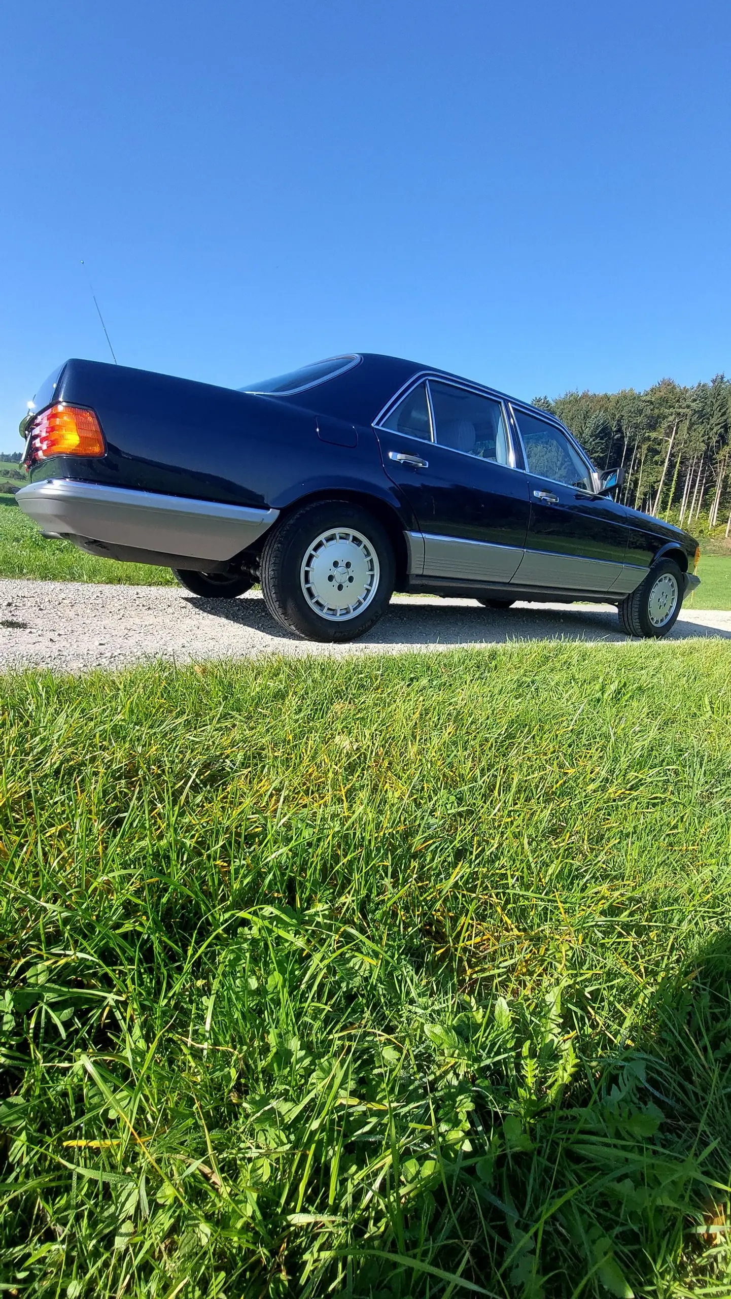 Mercedes-Benz 280 1983 occasion Wil — 3