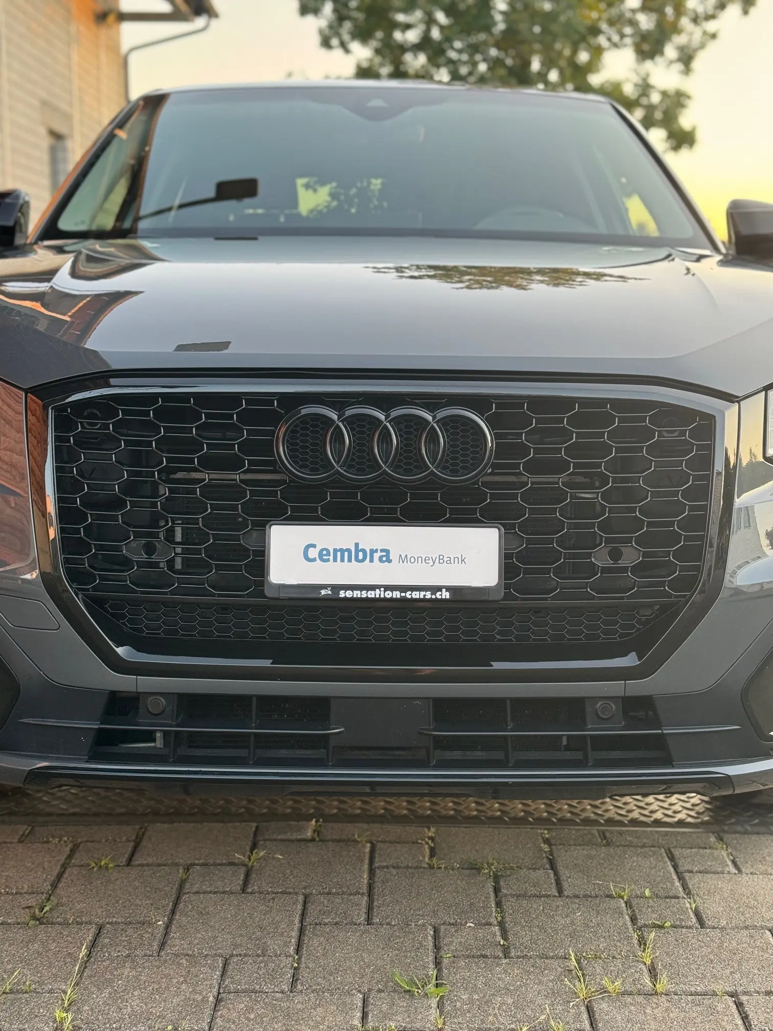 Audi Q2 2017 occasion Pfäffikon — 4