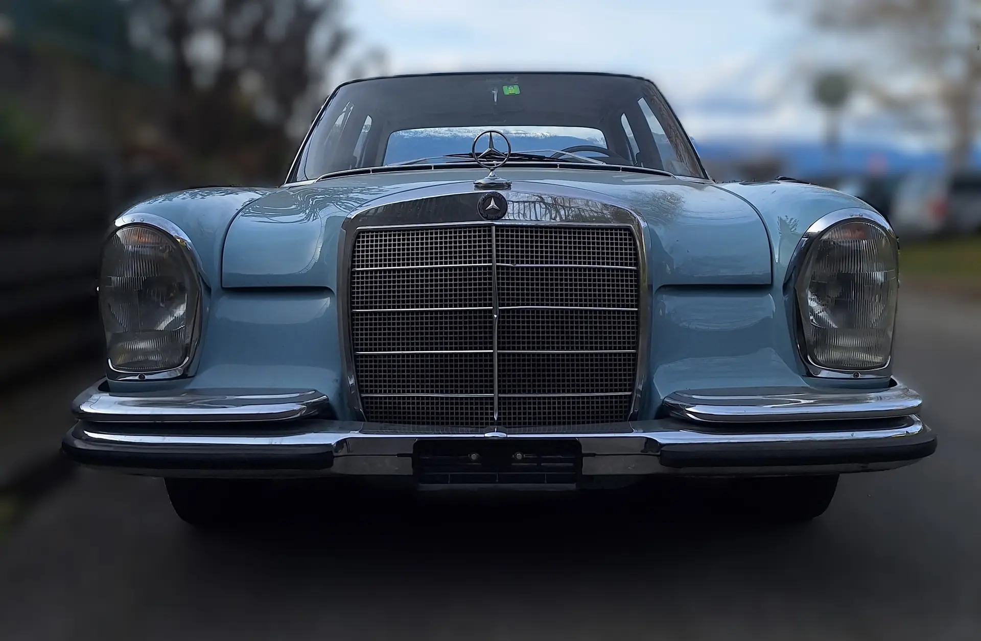 Mercedes-Benz 250 1968 occasion Genève — 5