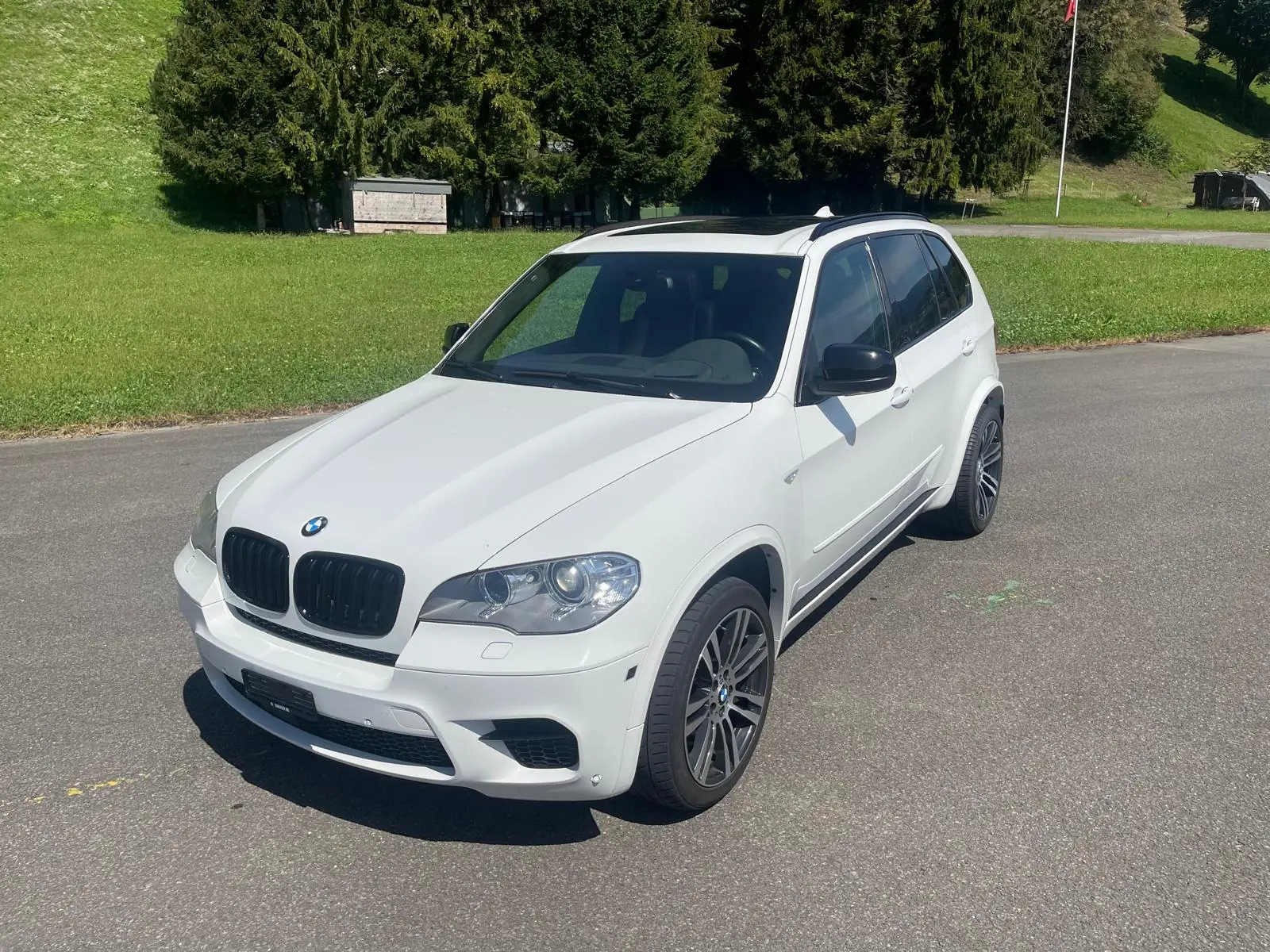 BMW X5 2012 occasion Triengen — 1