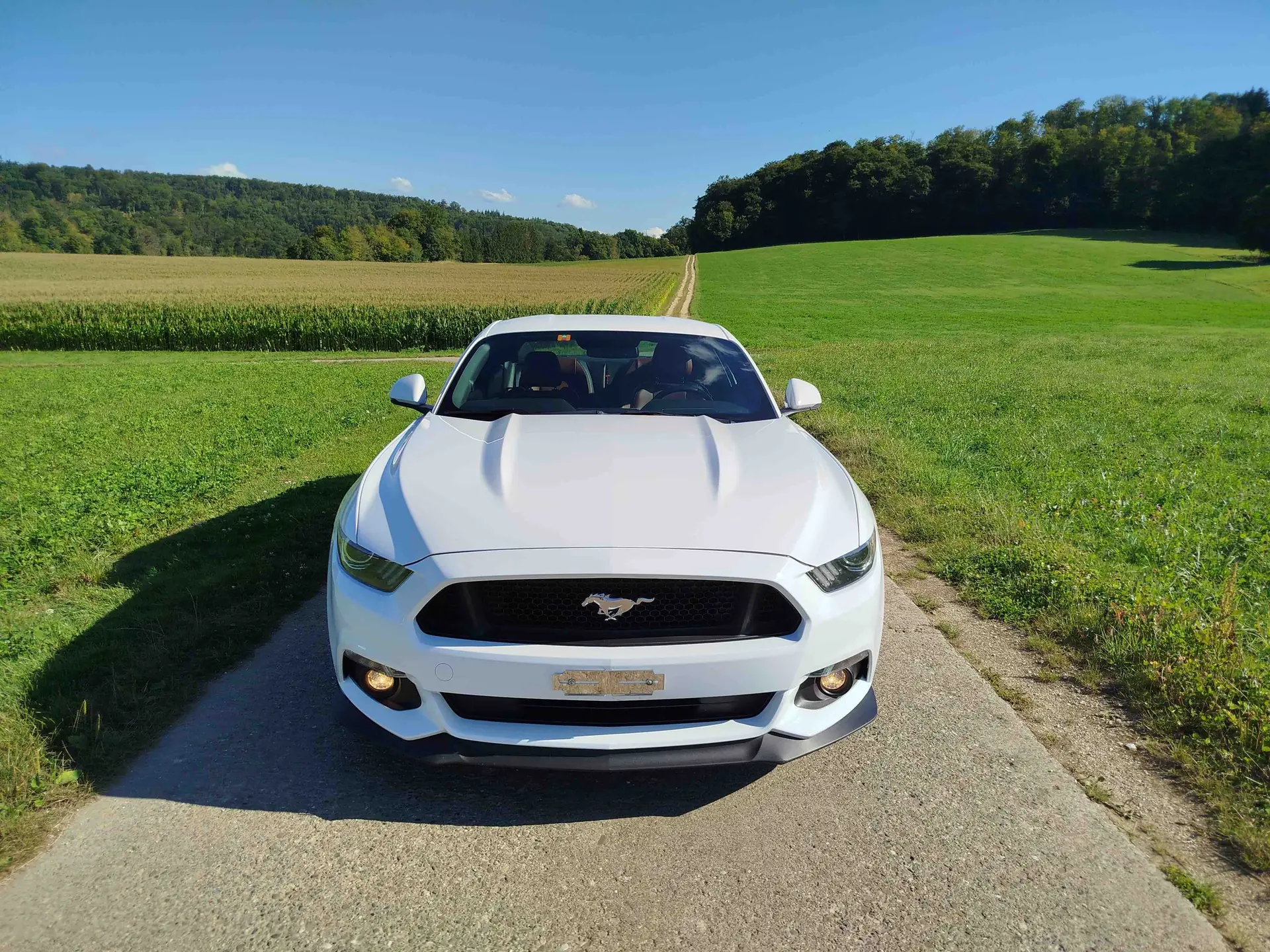 Ford Mustang Fastback 5.0 V8 GT — Coupé Légendaire, 422 ch, Automatique