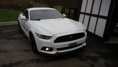 Ford Mustang Fastback 5.0 V8 GT — Coupé Légendaire, 422 ch, Automatique — Miniatur 7