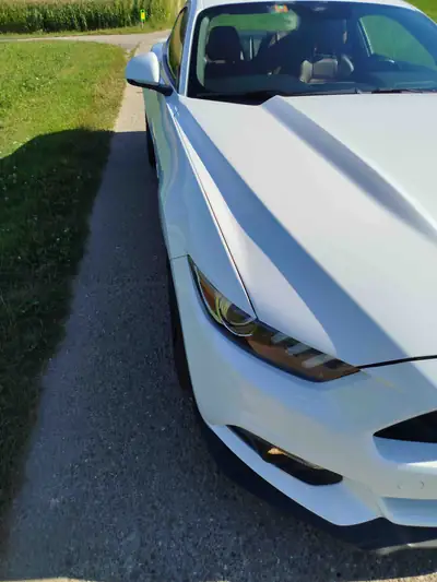 Ford Mustang Fastback 5.0 V8 GT — Coupé Légendaire, 422 ch, Automatique — Miniatur 8