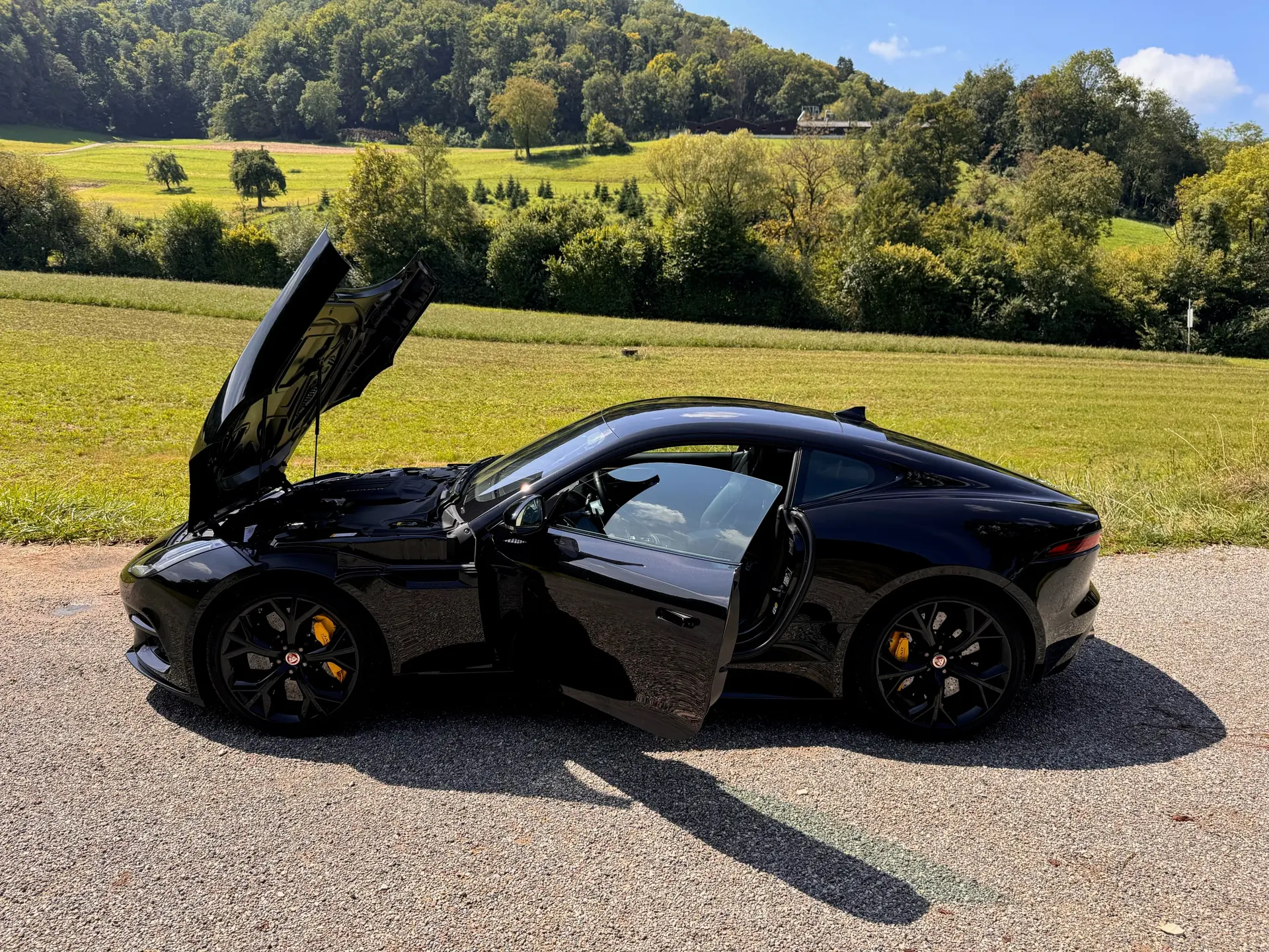Jaguar F-Type 2017 occasion Sisseln — 2