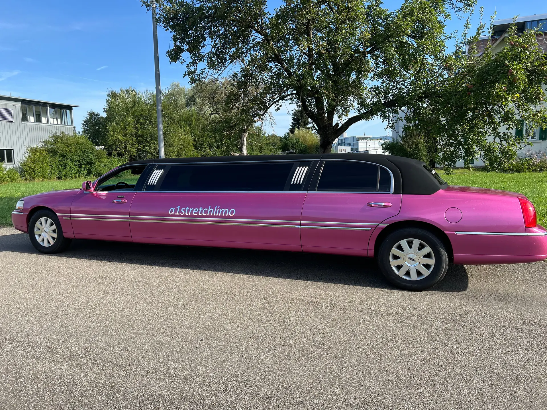 Lincoln Town Car 2003 occasion Muhen — 3