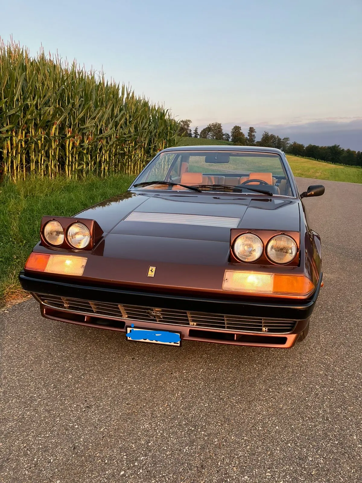 Ferrari 400 1977 occasion Berikon — 4