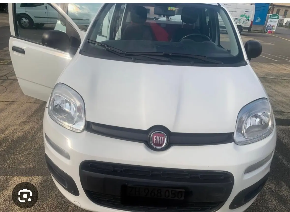 Fiat Panda 2021 occasion Arbedo — 3