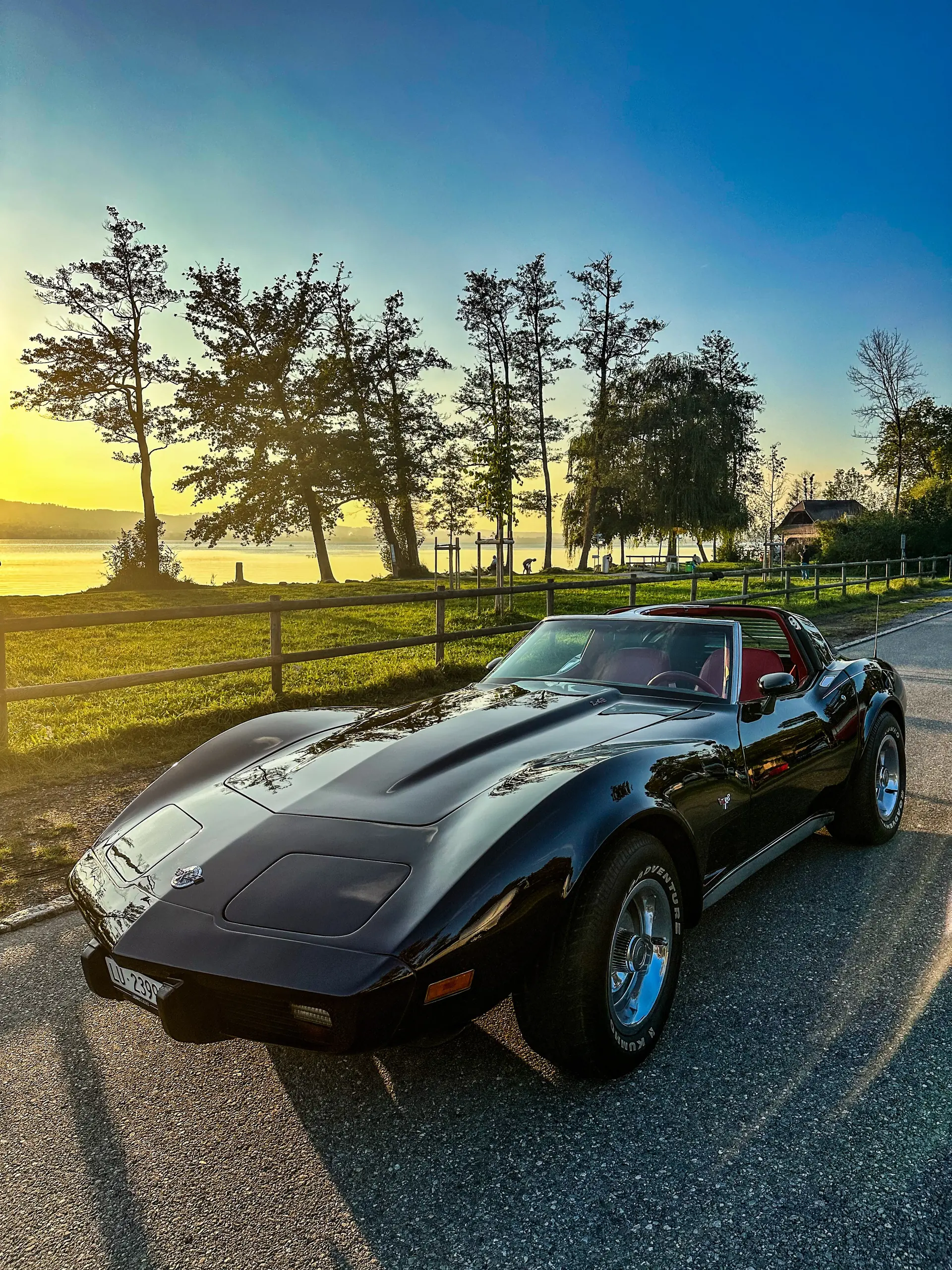 Chevrolet Corvette 1978 occasion Nebikon — 2