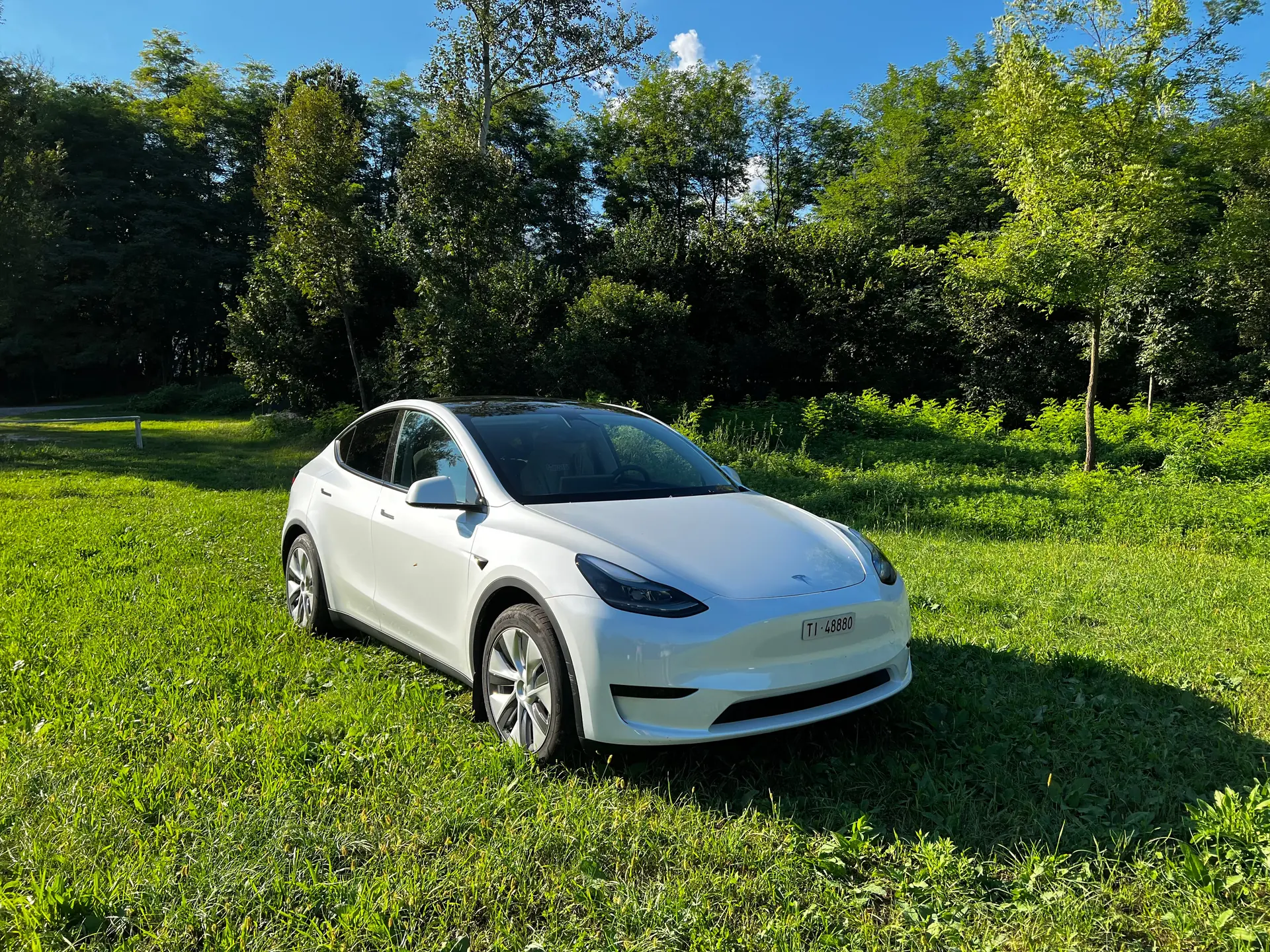 Tesla Model Y RWD 2023 — SUV électrique performant, 32 400 km seulement — vue extérieure