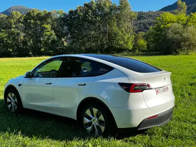 Tesla Model Y RWD 2023 — SUV électrique performant, 32 400 km seulement — détail