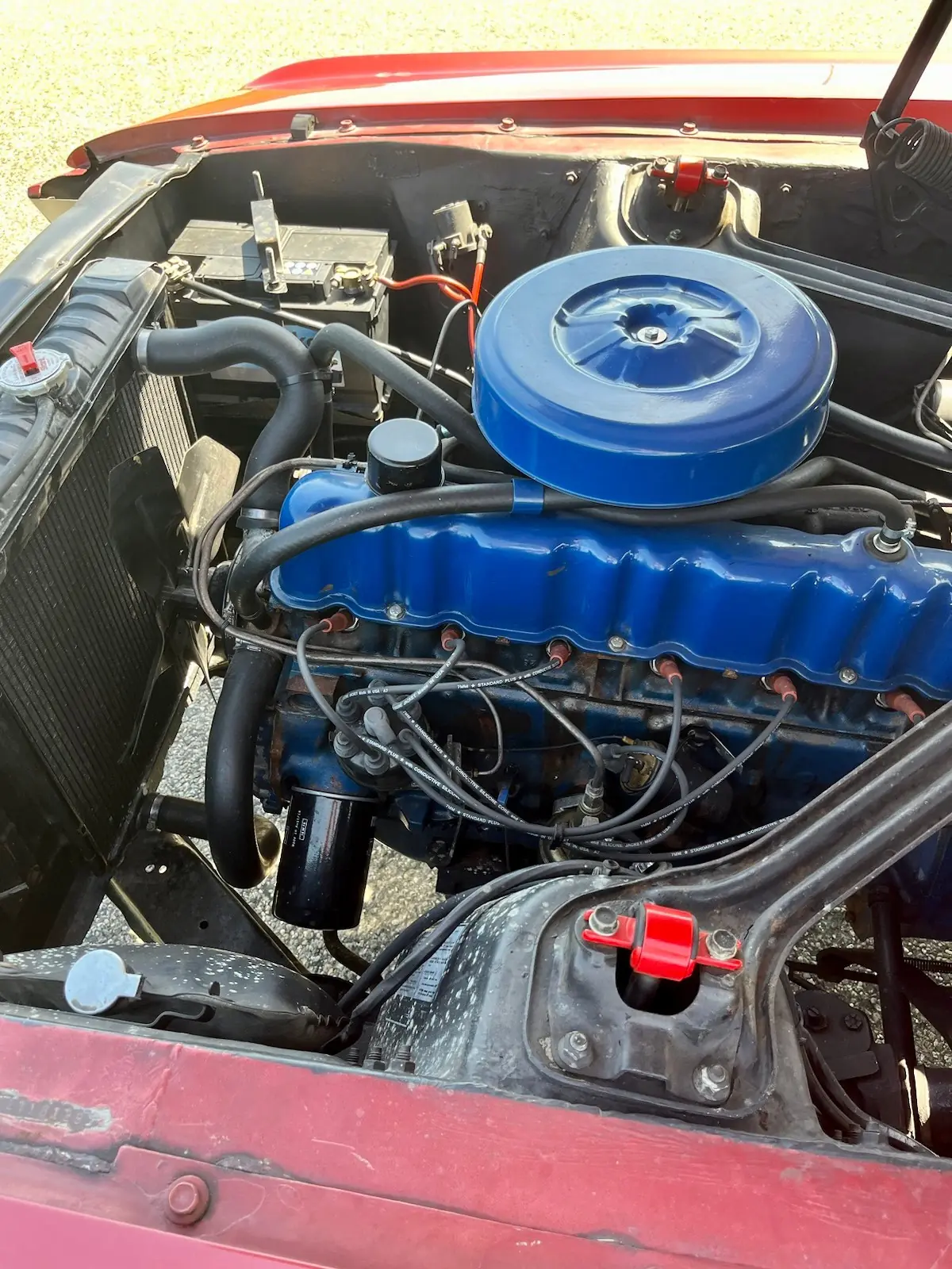 Ford Mustang 1967 occasion Elsau — 4