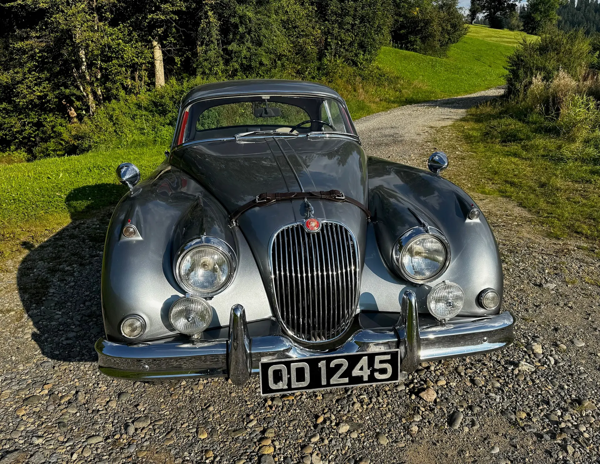 Jaguar Xk150 1958 occasion Oberägeri — 2