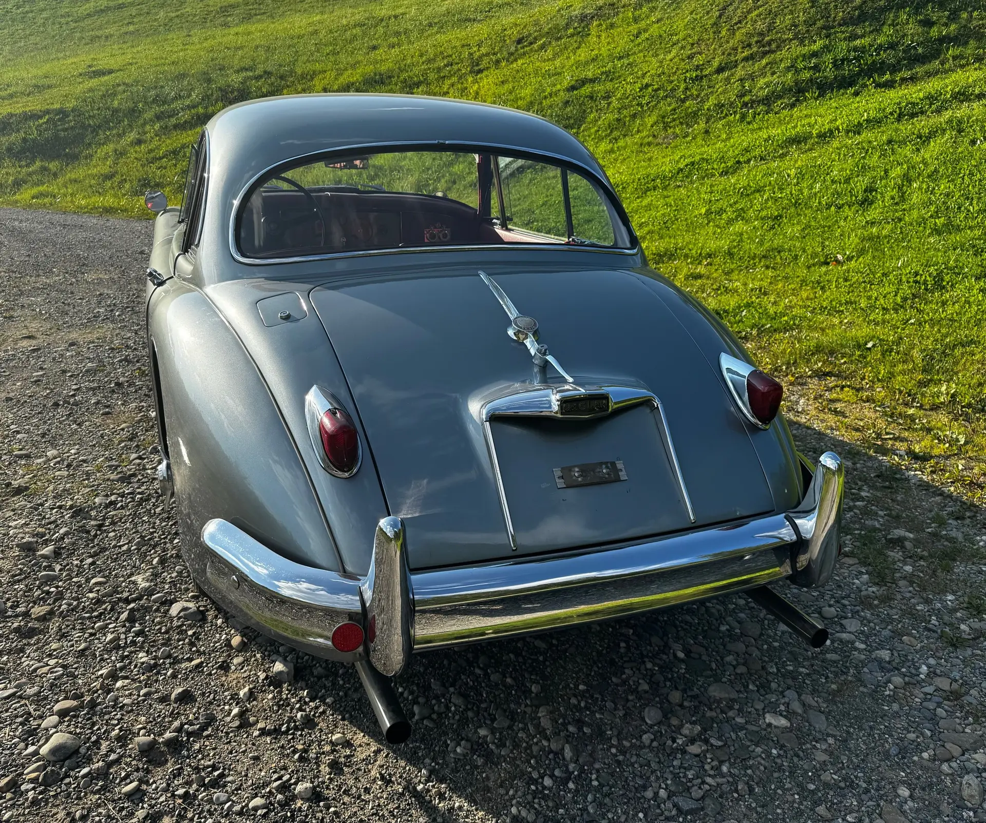 Jaguar Xk150 1958 occasion Oberägeri — 3