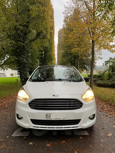 Ford KA+ 1.2 Ti-VCT White Edition — Citadine maligne, entretien complet récent — dashboard