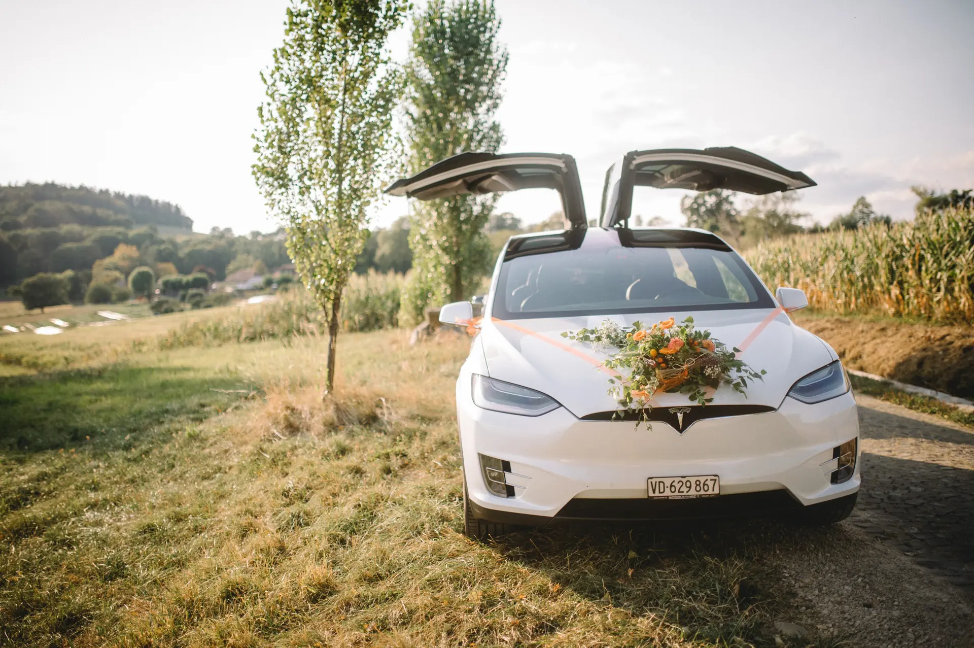 Tesla Model X 7 Places 100D — SUV électrique premium avec conduite autonome complète