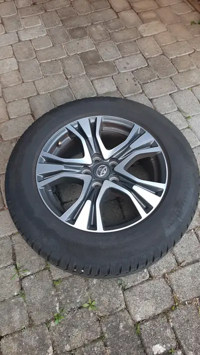 Toyota RAV-4 2.5 HSD Edition — SUV hybride performant, entretien réduit, état impeccable — detail