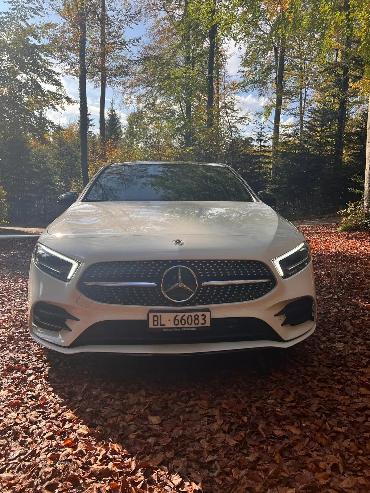 Mercedes-Benz A 250 4Matic — Berline dynamique, 4 roues motrices et 224 ch