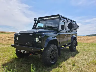 Land Rover Defender 110 2.2 TD4 — L'aventurier robuste, moteur diesel fiable — vista posteriore
