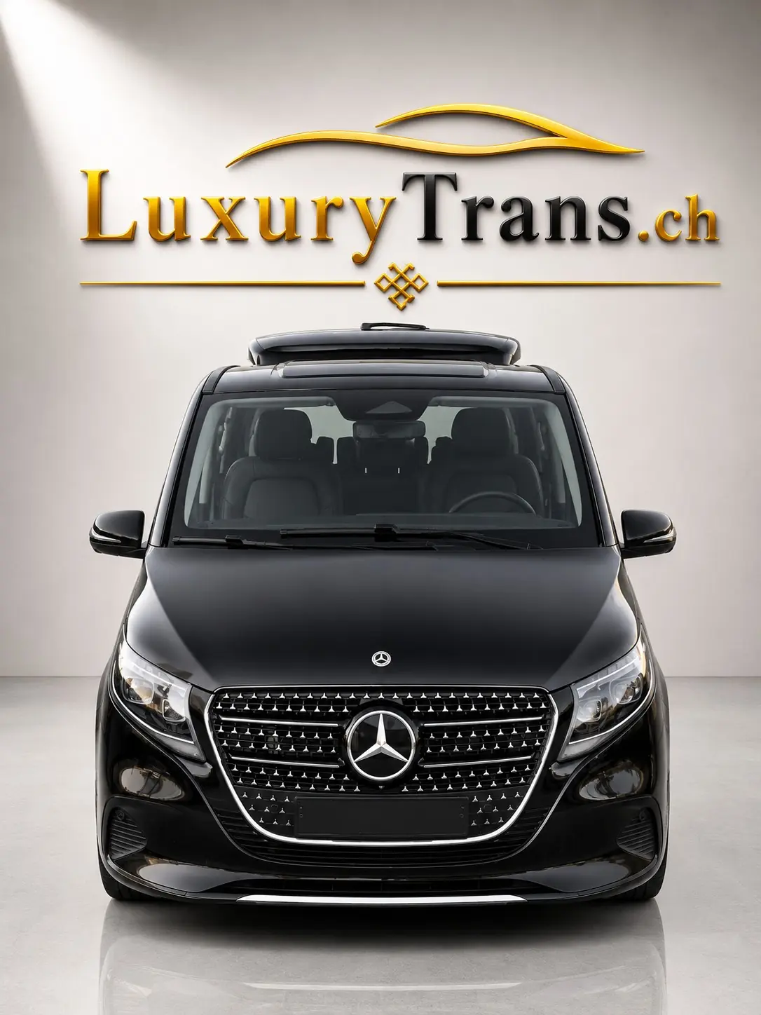 Mercedes-Benz Classe V 2025 occasion Dully — 2
