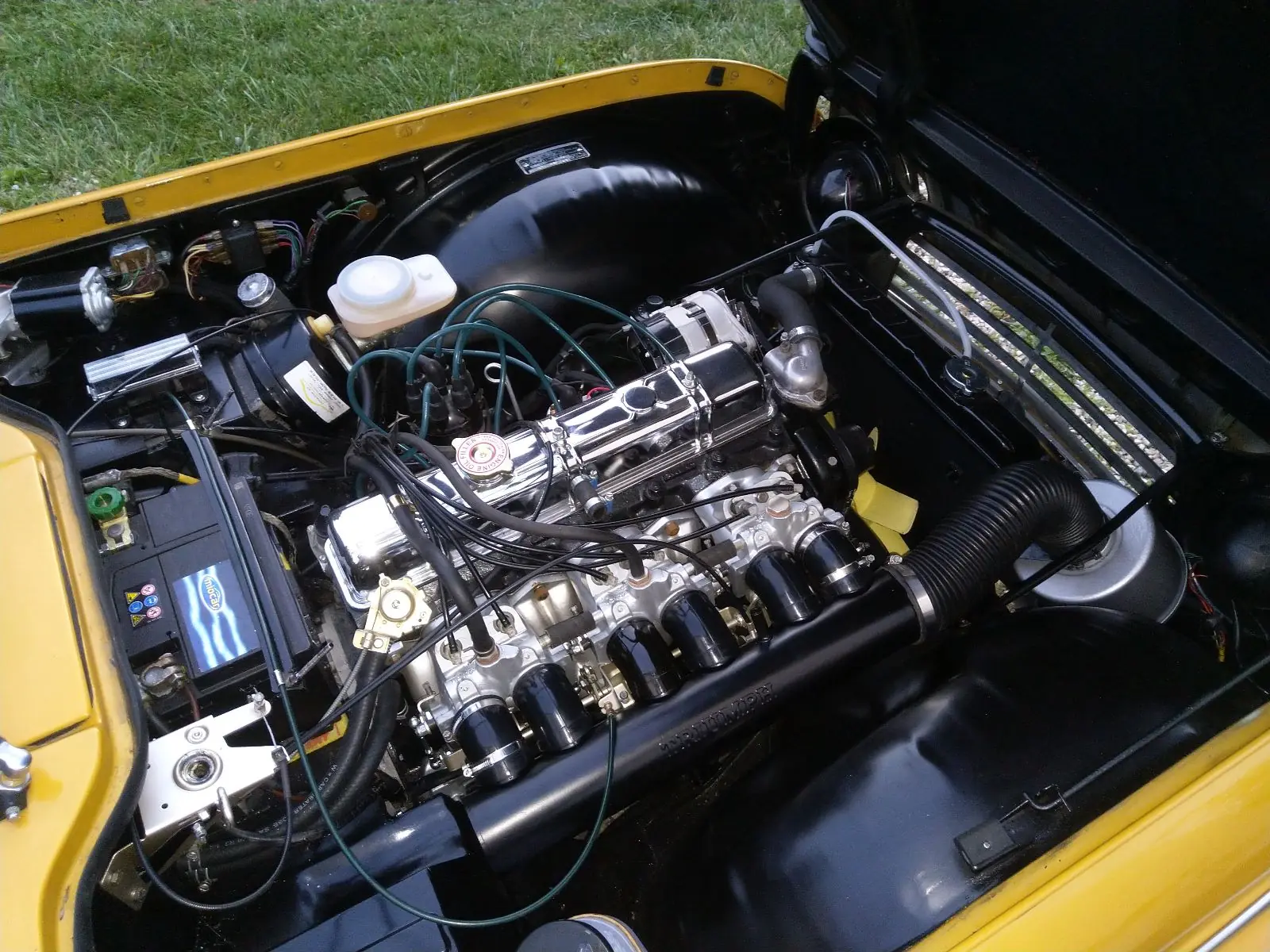 Triumph Tr5 occasion Choulex — 4