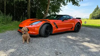 Chevrolet Corvette Coupé Grand Sport 3LT — Muscle car américain, Final Edition ultra rare — Miniature 14