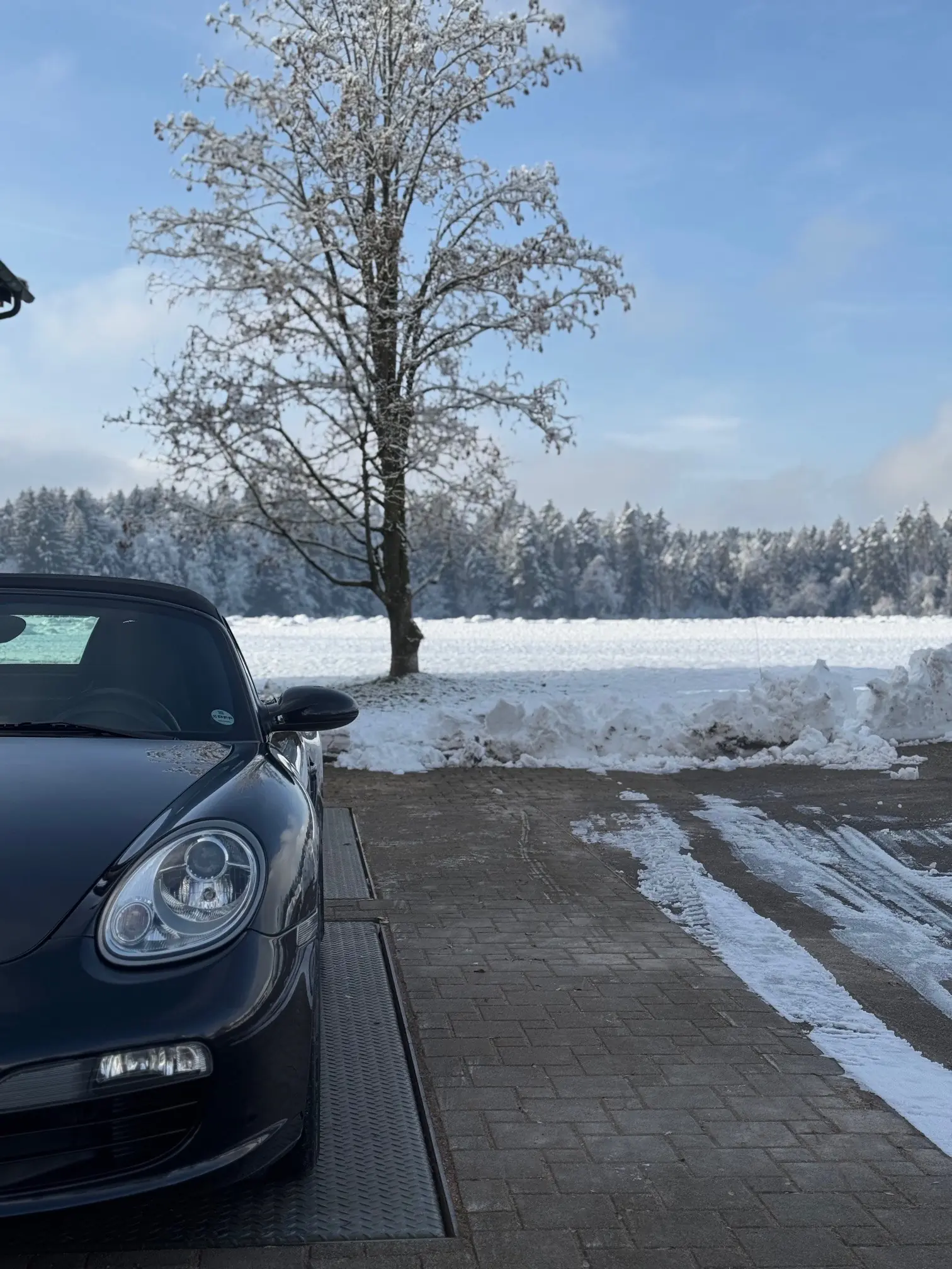 Porsche Boxster 2005 occasion Pfäffikon — 4