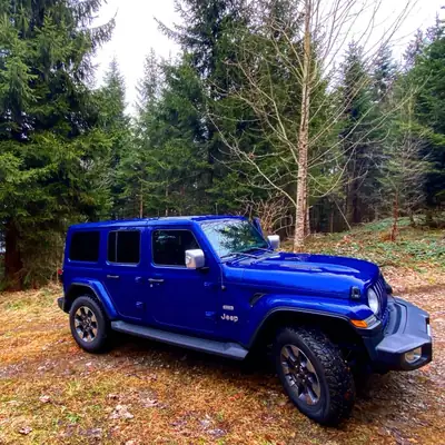 Jeep Wrangler Unlimited Sahara — SUV robuste diesel avec système de toit surcharge 300 kg — vista posteriore