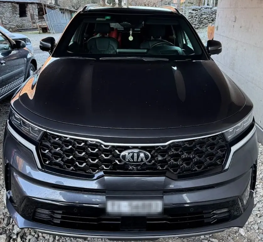 Kia Sorento 2021 occasion Maggia — 1