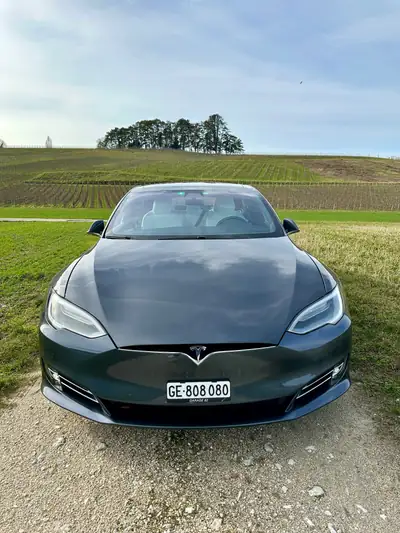 Tesla Model S 100 D Performance — Berline électrique haute performance, 38'400 km — dettaglio