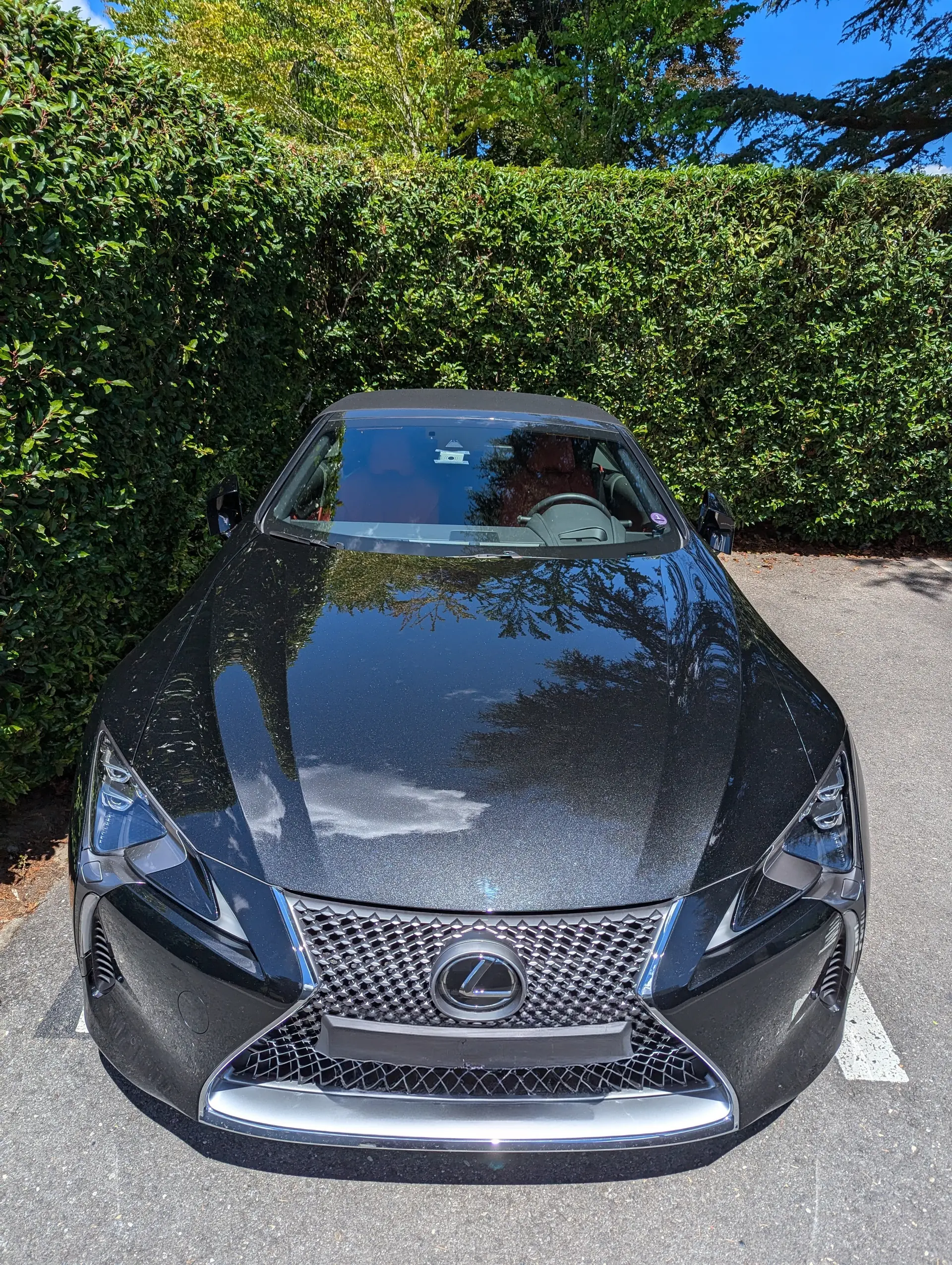Lexus LC 2023 occasion Troinex — 5