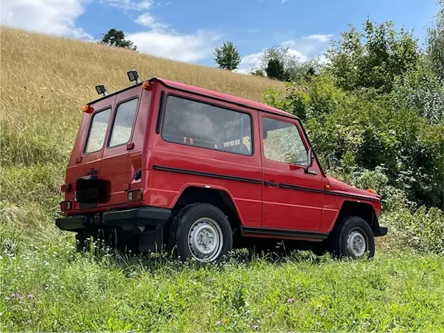 Puch G 1994 occasion Wasterkingen — 3