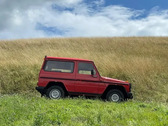 Puch G 1994 occasion Wasterkingen — 2