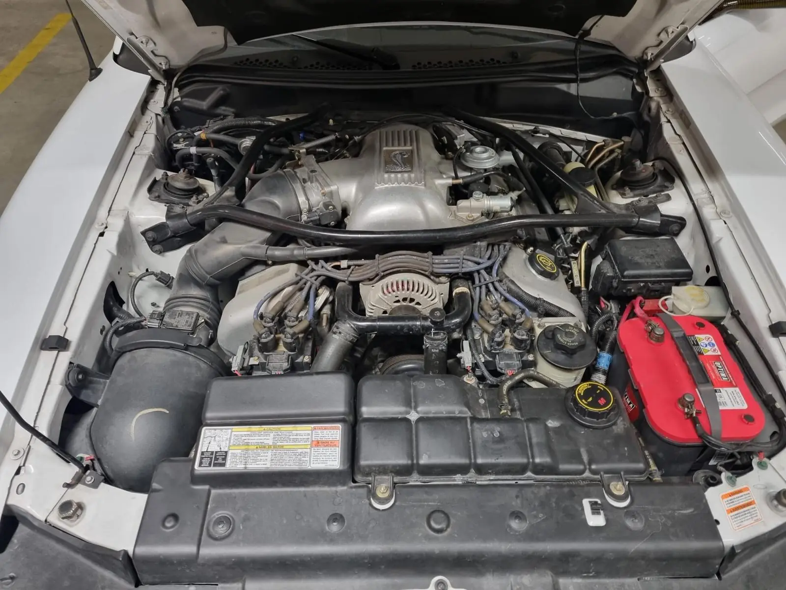 Ford Mustang 1996 occasion Ebnat-Kappel — 3