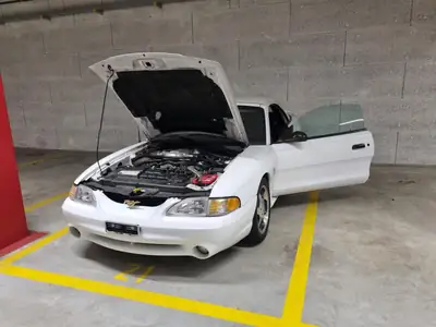 Ford Mustang Cobra SVT 4.6L V8 — Cabriolet légendaire, 320 ch purs — intérieur