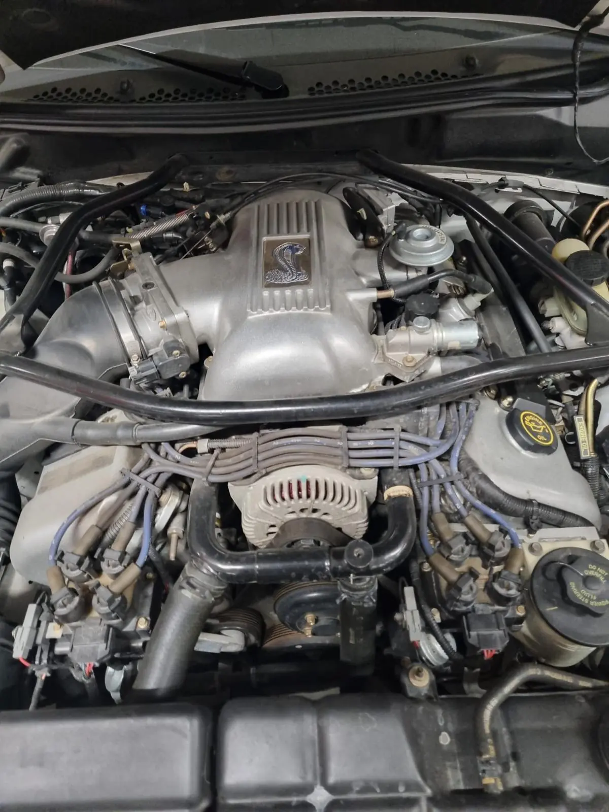Ford Mustang 1996 occasion Ebnat-Kappel — 5