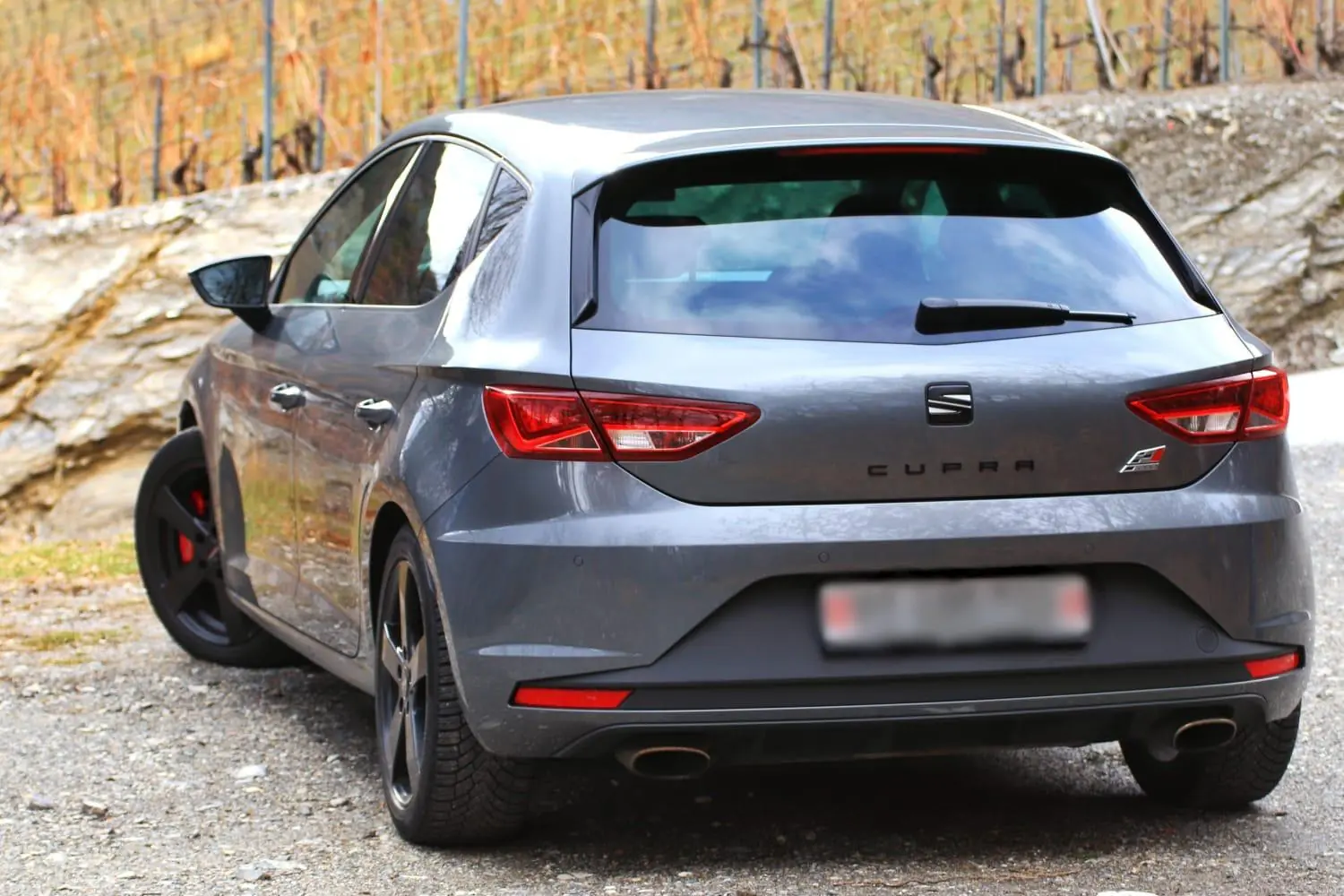 SEAT Leon 2015 occasion Martigny — 3