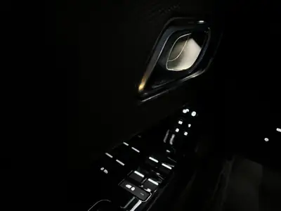 Land Rover Range Rover Velar P250 — SUV prestige 2020, design premium et 185'000 km — dettaglio