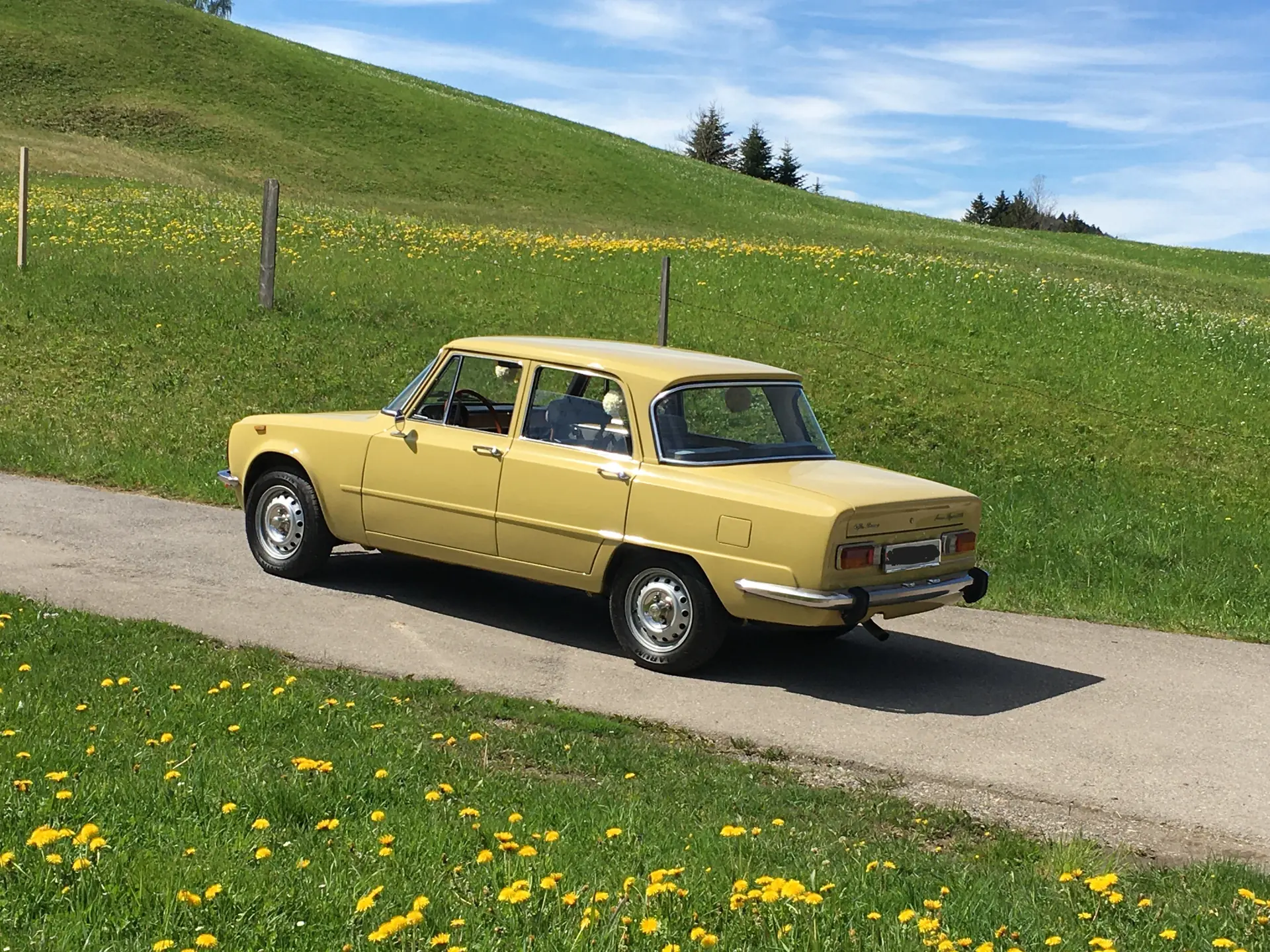Alfa Romeo Giulia 1975 occasion Zürich — 3