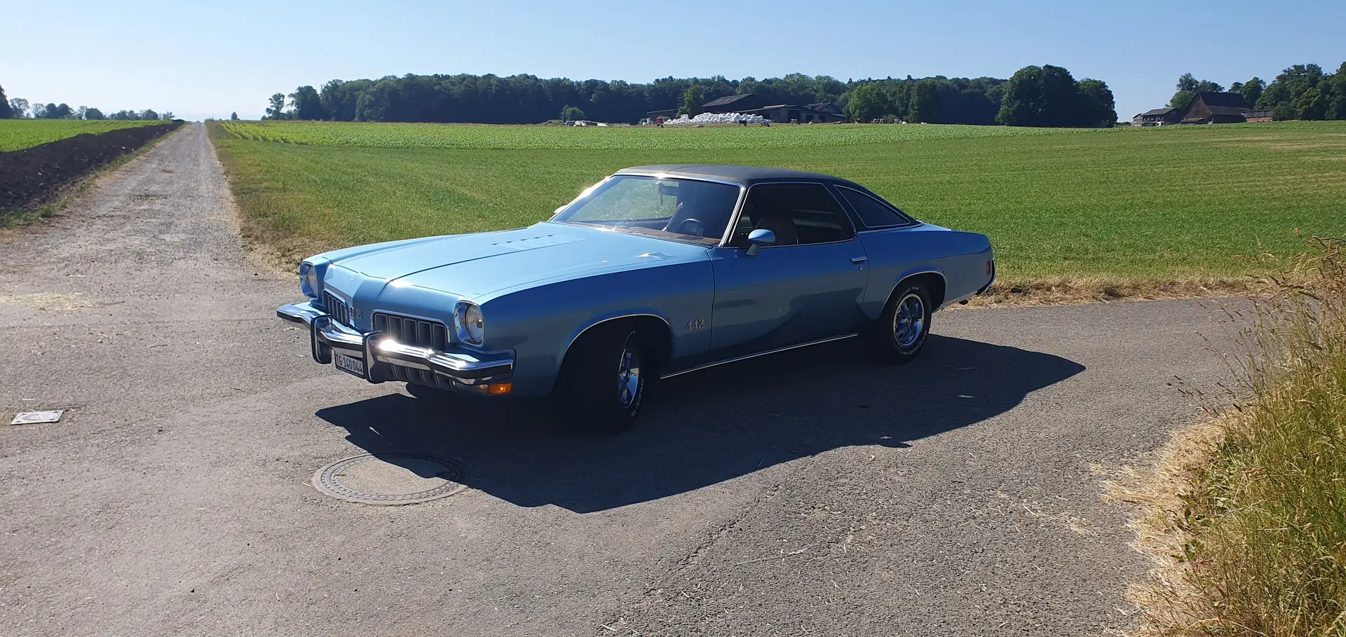 Oldsmobile 442 1980 occasion Scherzingen — 2