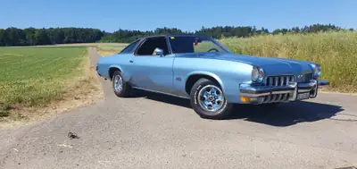 Oldsmobile 442 Cutlass Big Block 7.5L — Légende américaine des années 80, moteur colossal — détail