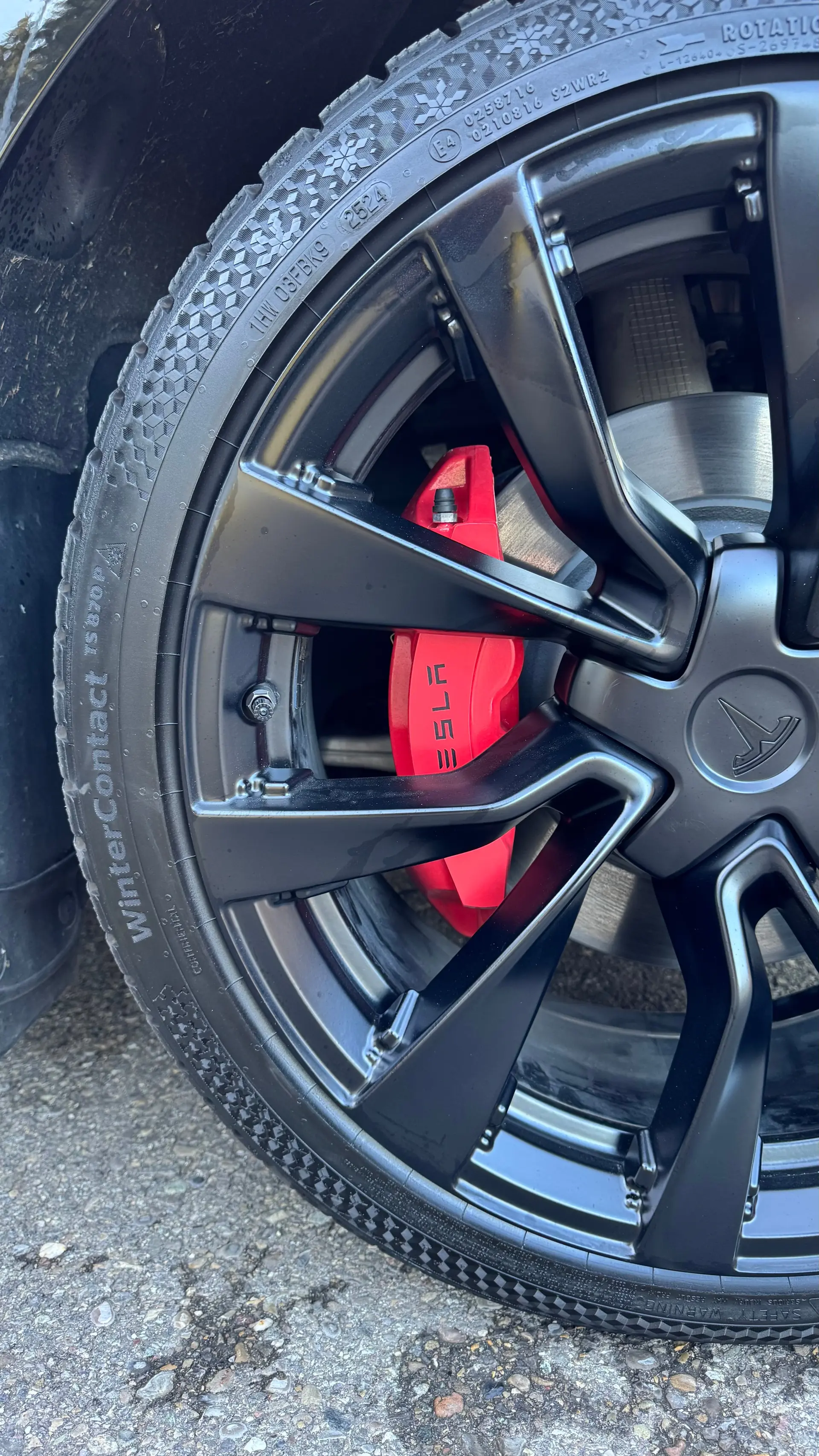Tesla Model 3 2024 occasion Winterthur — 4