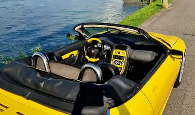 MG F 1.8i VVC Trophy 160 SE — Roadster britannique authentique, 77 800 km — Heckansicht