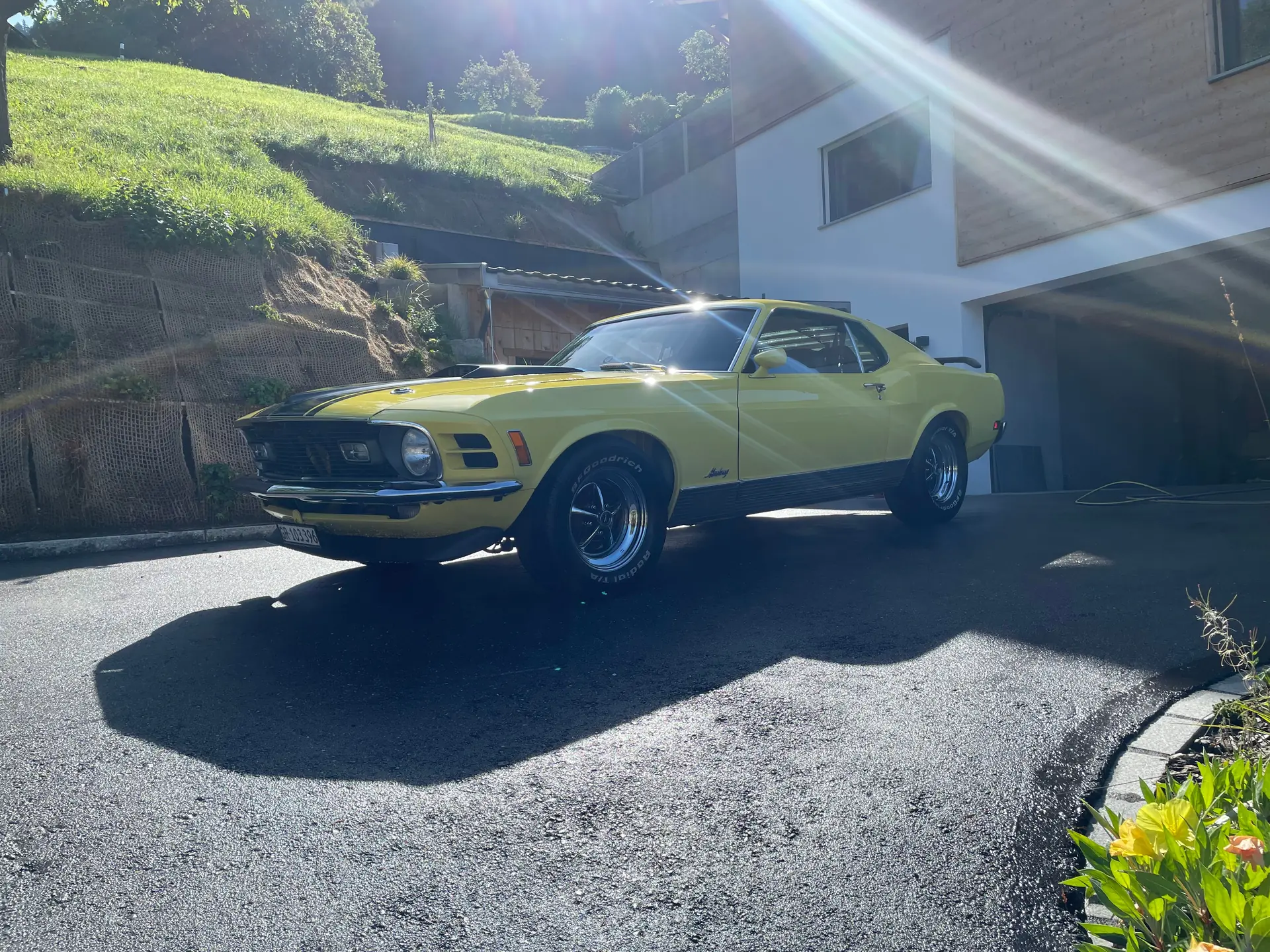 Ford Mustang 1970 occasion Fajauna — 5