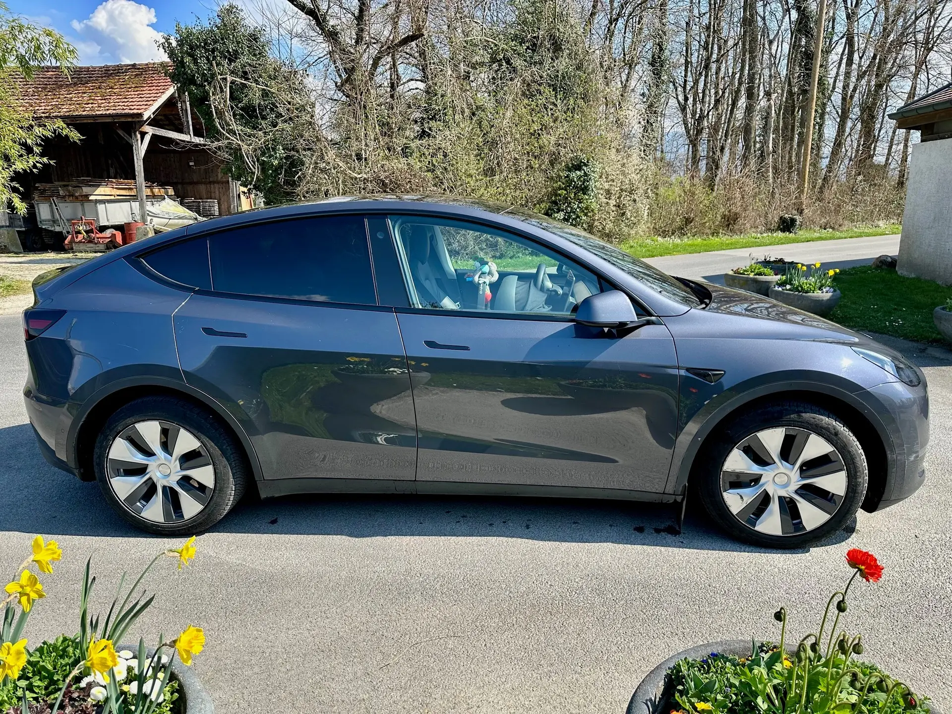 Tesla Model Y 2021 occasion Collonge-Bellerive — 3