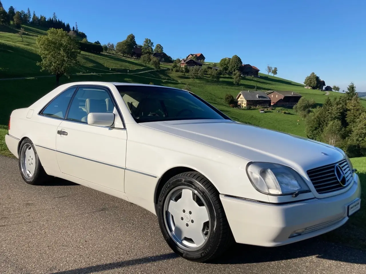 Mercedes-Benz S 420 1995 occasion Zürich — 2