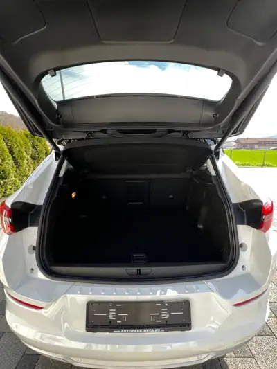 Opel Grandland 1.6 Hybrid Elegance — SUV rechargeable, 37 200 km seulement — détail