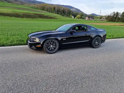 Ford Mustang GT Premium V8 420PS — Coupé muscle américain, rare et performant — Detail
