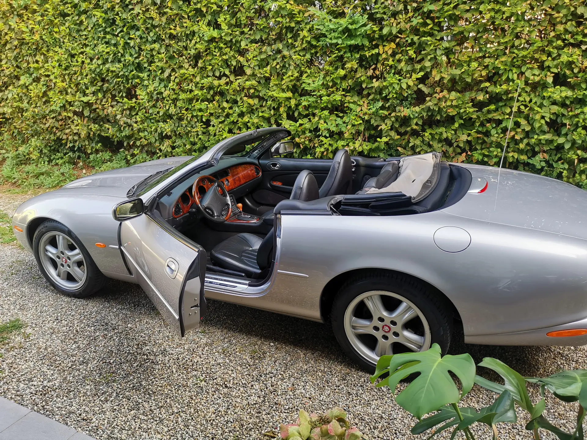 Jaguar XK 2000 occasion Rheinfelden — 3
